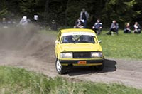 Violenrallyt 2016 (80)