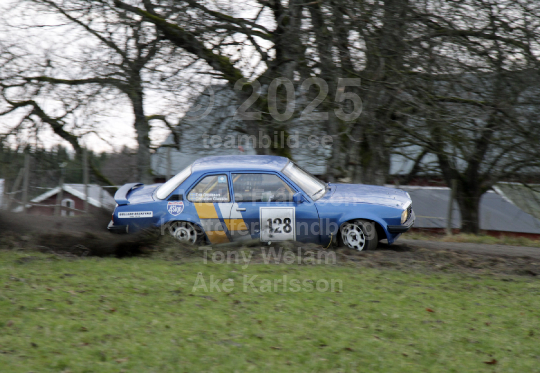 Novemberskölden 2010