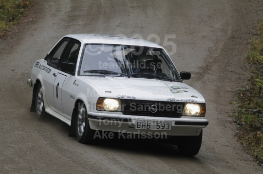 Novemberskölden 2010