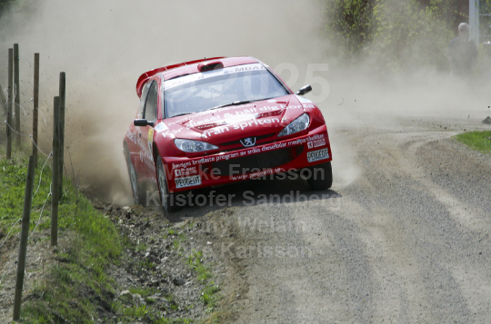 South Swedish Rally 2006