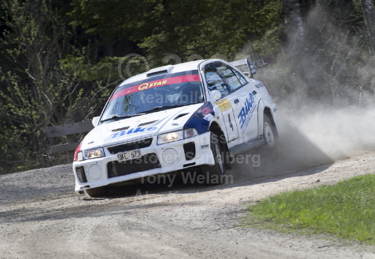 South Swedish Rally 2013