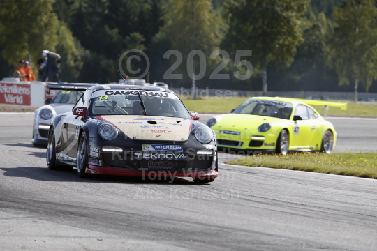 STCC, Porsche Carrera Cup