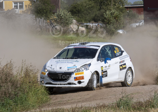 East Sweden Rally 2020