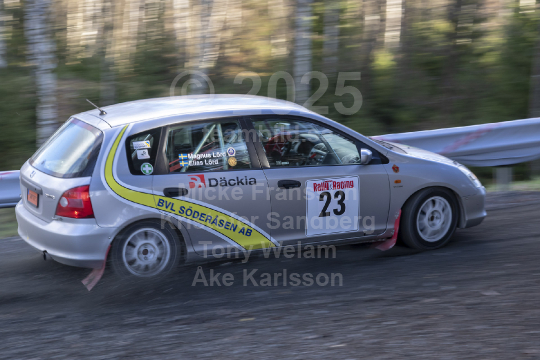 Novemberskölden 2018