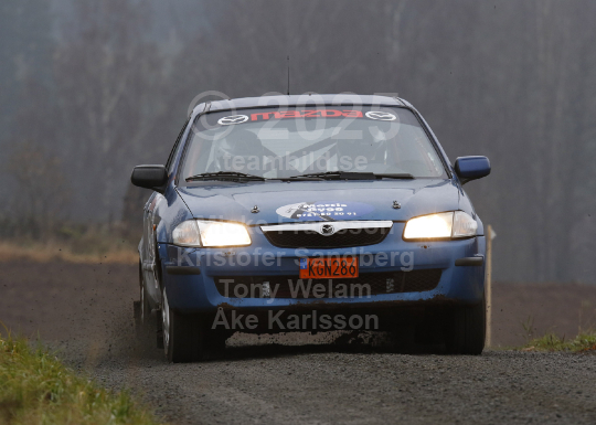 Novemberskölden 2019