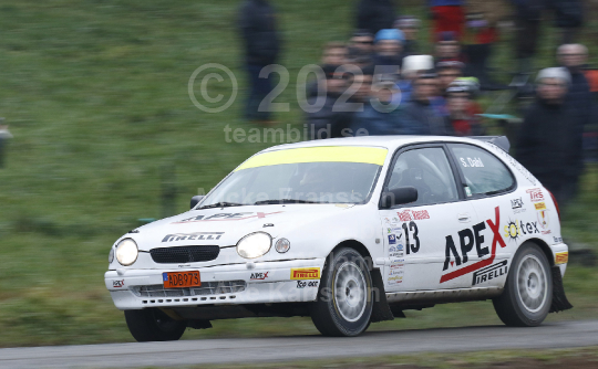 Novemberskölden 2019