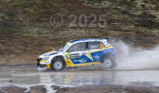Rally Sweden 2020