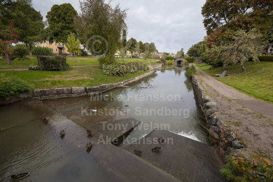 Skänningebilder 2021