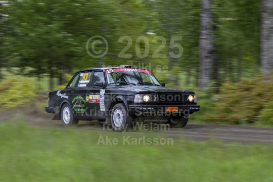 South Swedish Rally 2019