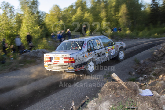 South Swedish Rally 2019