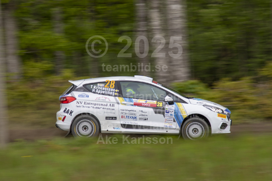 South Swedish Rally 2019