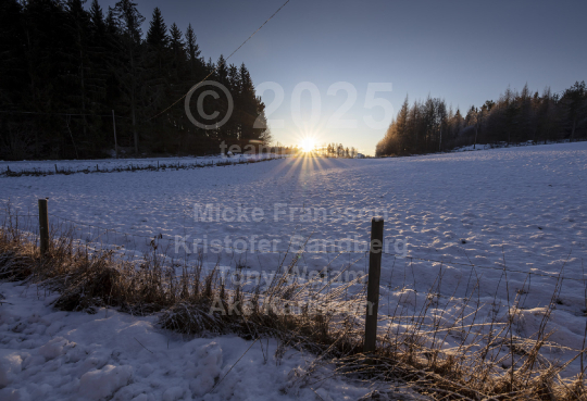 Natur 2021