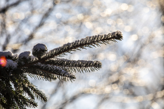 Natur 2021