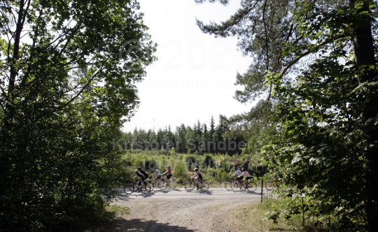 Tjejvättern 2008