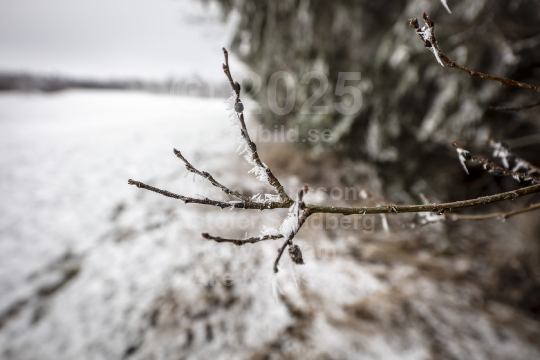 Vinter 2023