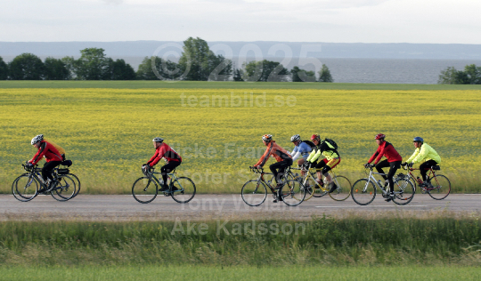 Vätternrundan 2008