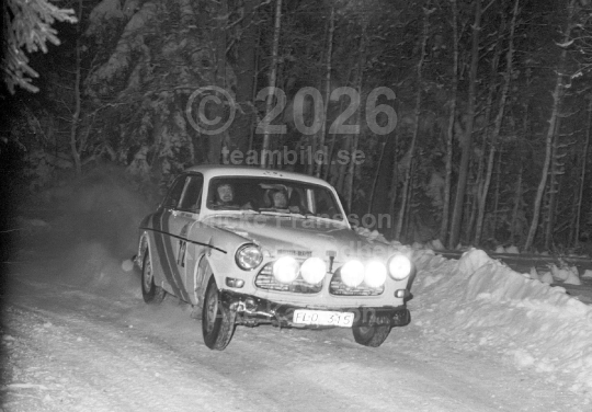 Rally 1981