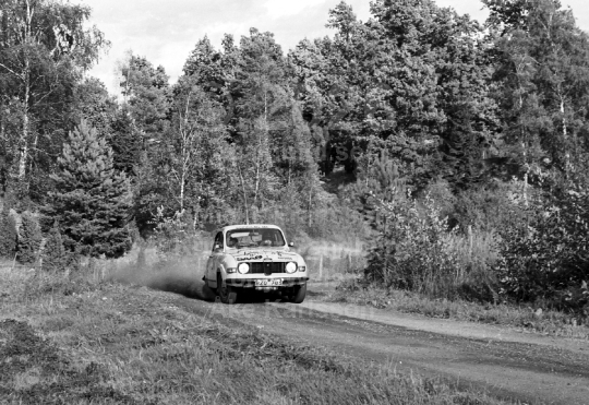 Rally 1982