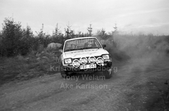 Rally 1982