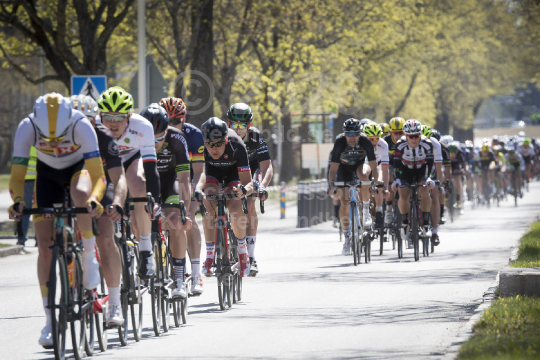 Scandinavian Race 2017