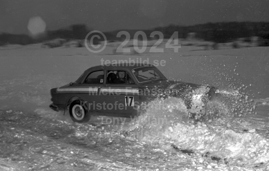 Rally 1981