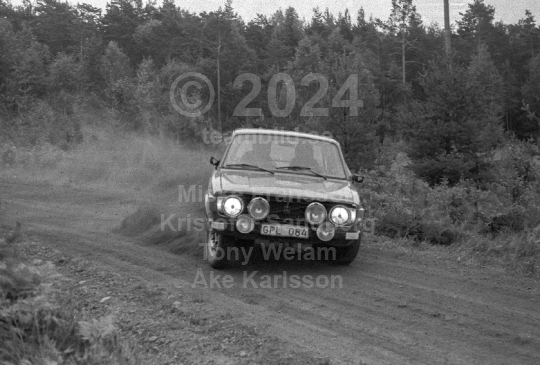 Rally 1981
