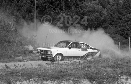 Rally 1982