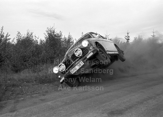 Rally 1982
