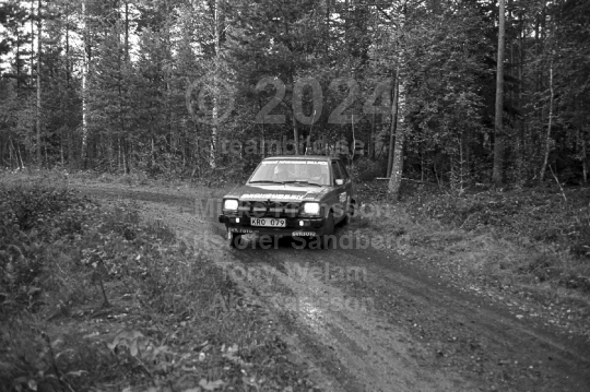 Rally 1984