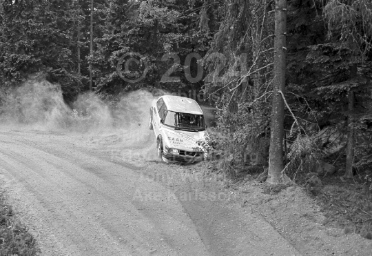 Rally 1984