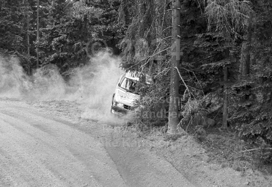 Rally 1984