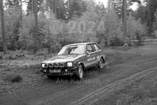 Rally 1984