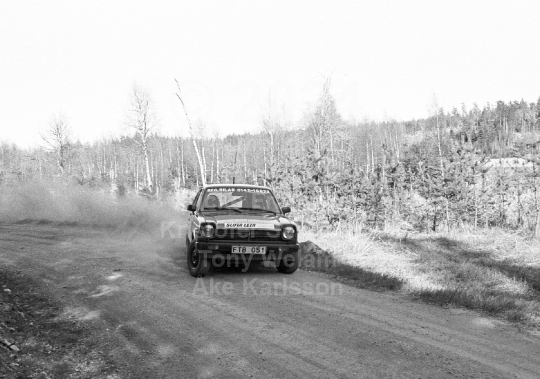 Rally 1984