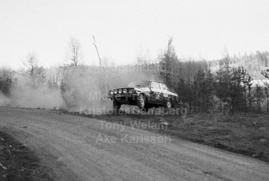 Rally 1984