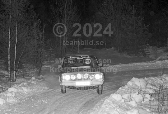 Rally 1984