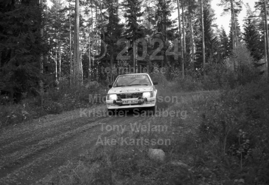 Rally 1985