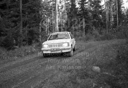 Rally 1985