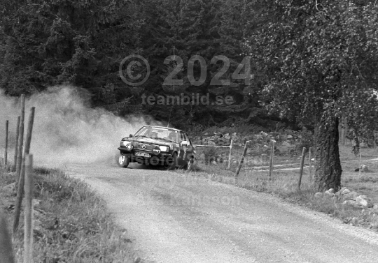 Rally 1985