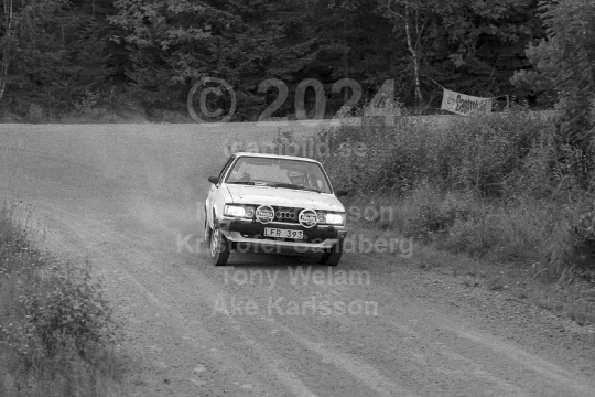 Rally 1985