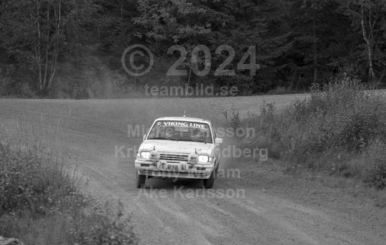 Rally 1985