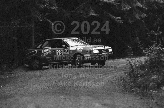 SAPA-Rallyt 1991