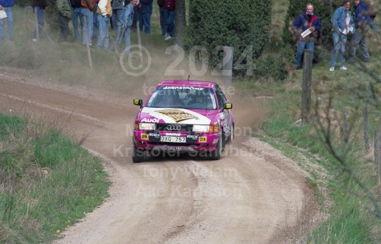 South Swedish Rally 1991