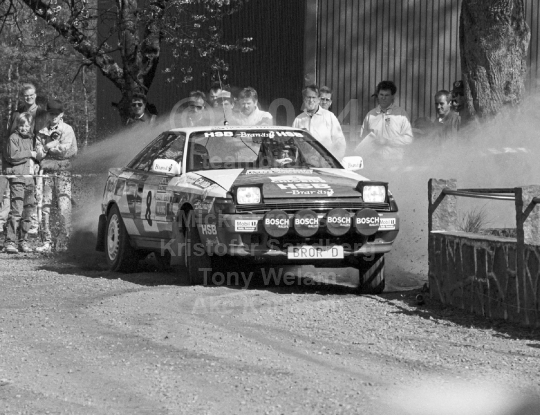 South Swedish Rally 1991