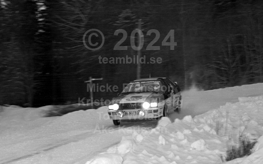Svenska Rallyt 1981