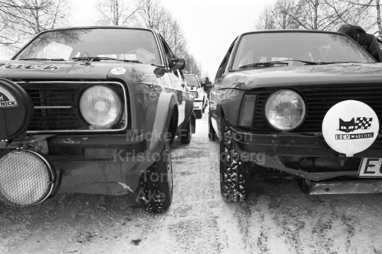 Svenska Rallyt 1981