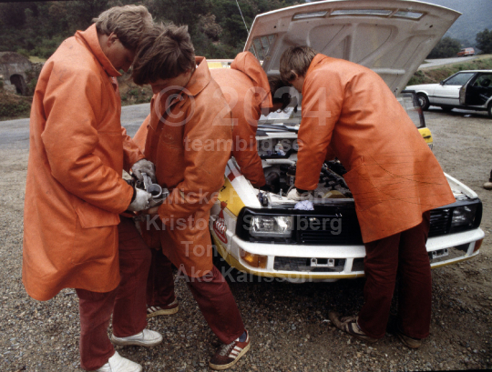 Tour de Corse 1984