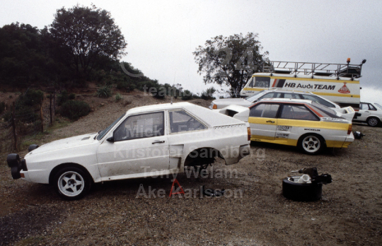 Tour de Corse 1984