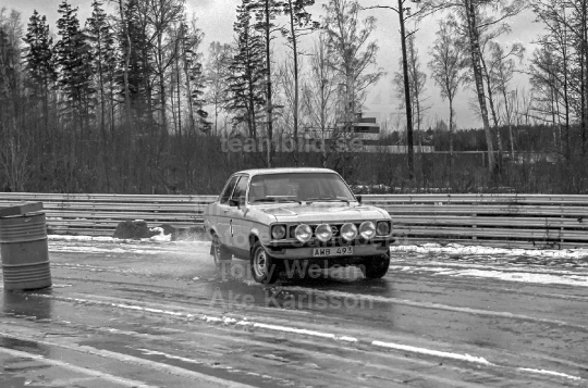 Rally 1980
