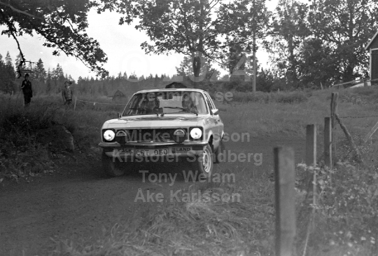 Rally 1980