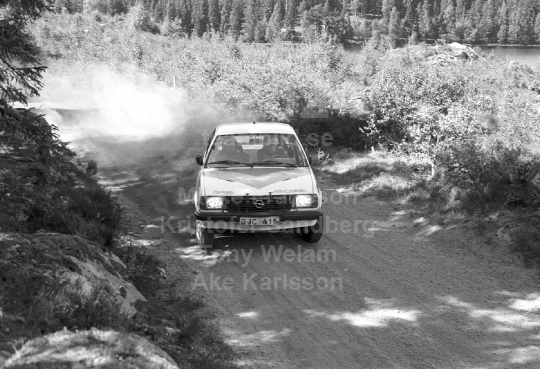 Rally 1985